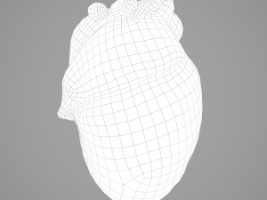 human heart Modelo 3D