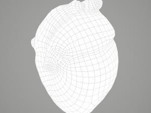 human heart Modelo 3D