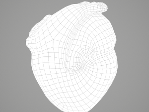 human heart Modelo 3D