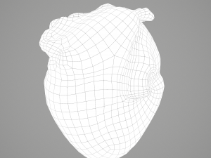 human heart Modelo 3D