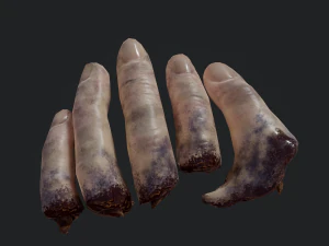 切断された指 3Dモデル