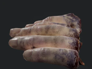 severed fingers 3D Model