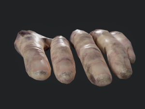 severed fingers 3D-Modell