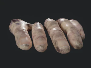 severed fingers 3D Model