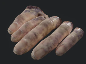 severed fingers 3D Model