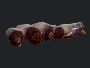 severed fingers 3D Model