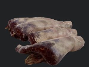 severed fingers 3D-Modell