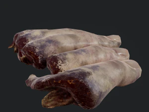 severed fingers 3D Model