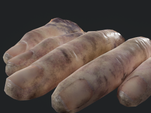 severed fingers 3D-Modell