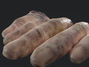 severed fingers 3D Model