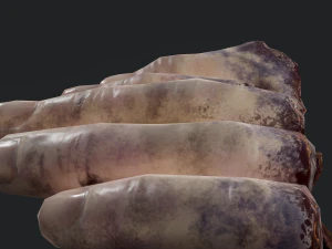 severed fingers 3D Model