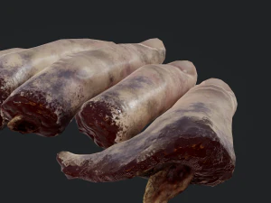severed fingers 3D Model