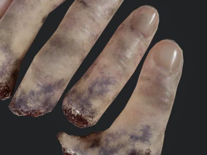 severed fingers 3D Model