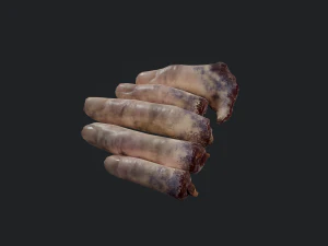 severed fingers 3D Model