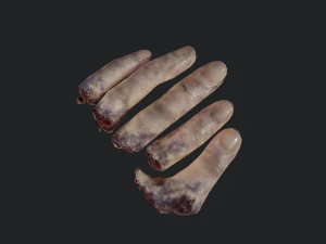 severed fingers 3D Model