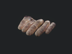 severed fingers 3D-Modell