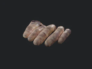 severed fingers 3D Model