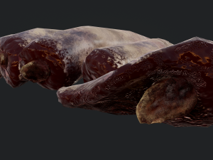 severed fingers 3D-Modell