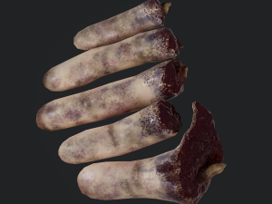 severed fingers 3D-Modell