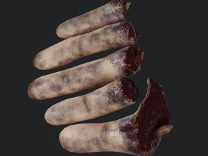 severed fingers 3D Model
