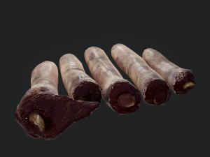 severed fingers 3D-Modell