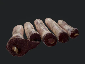severed fingers 3D Model