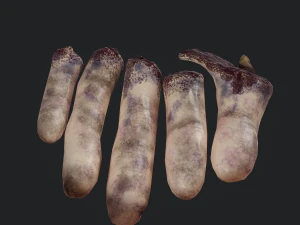 severed fingers 3D Model