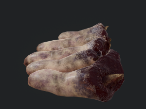 severed fingers 3D-Modell
