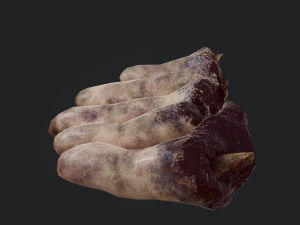 severed fingers 3D Model