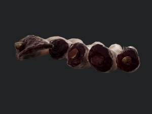 severed fingers 3D-Modell