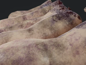 severed fingers 3D Model