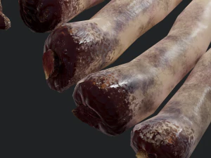 severed fingers 3D Model
