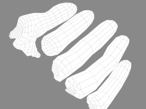 severed fingers 3D-Modell