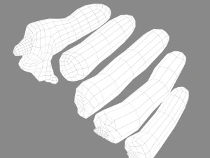 severed fingers 3D Model