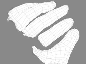 severed fingers 3D-Modell