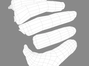 severed fingers 3D Model