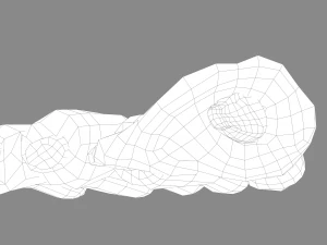 severed fingers 3D Model