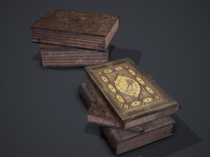 Hard cover books 3D Model