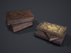 Hard cover books 3D Model
