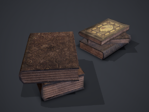 Hard cover books 3D Model