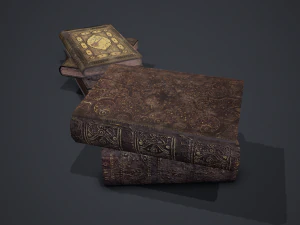 Hard cover books 3D Model