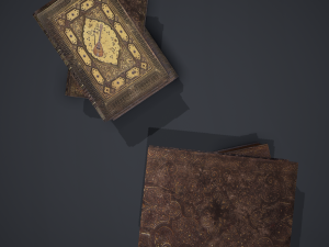 Hard cover books 3D Model
