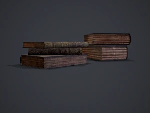 Hard cover books 3D Model