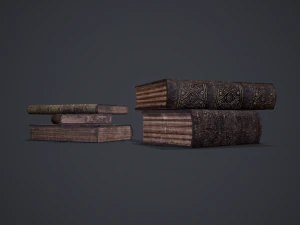 Hard cover books 3D Model