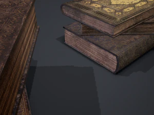 Hard cover books 3D Model