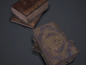 Hard cover books 3D Model