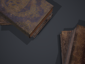 Hard cover books 3D Model