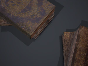 Hard cover books 3D Model