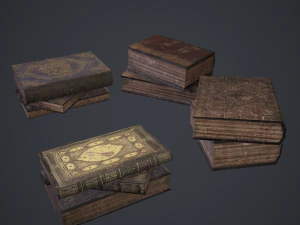 Hard cover books 3D Model