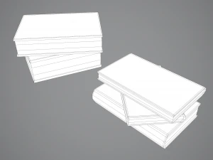 Hard cover books 3D Model